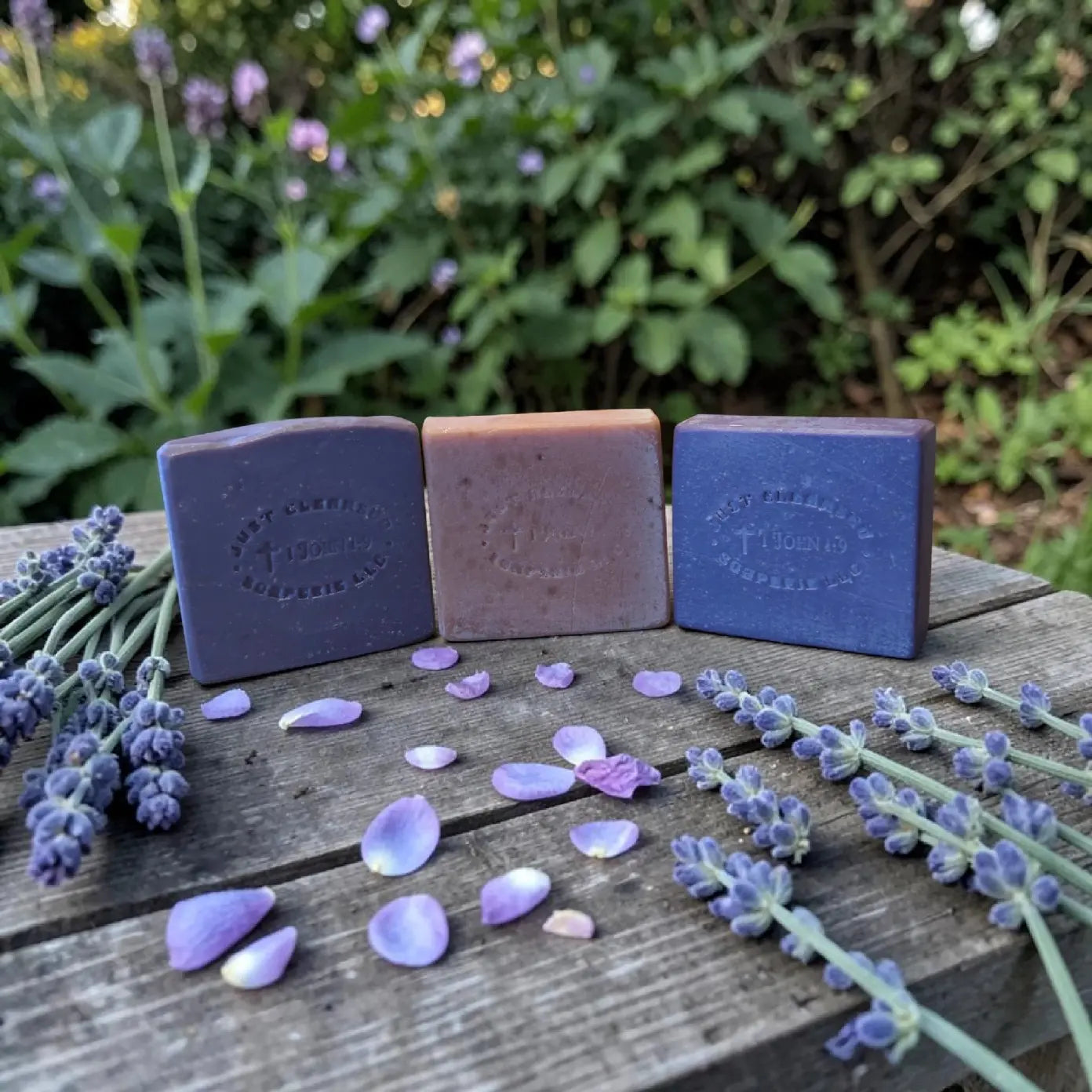 Lavender Fields