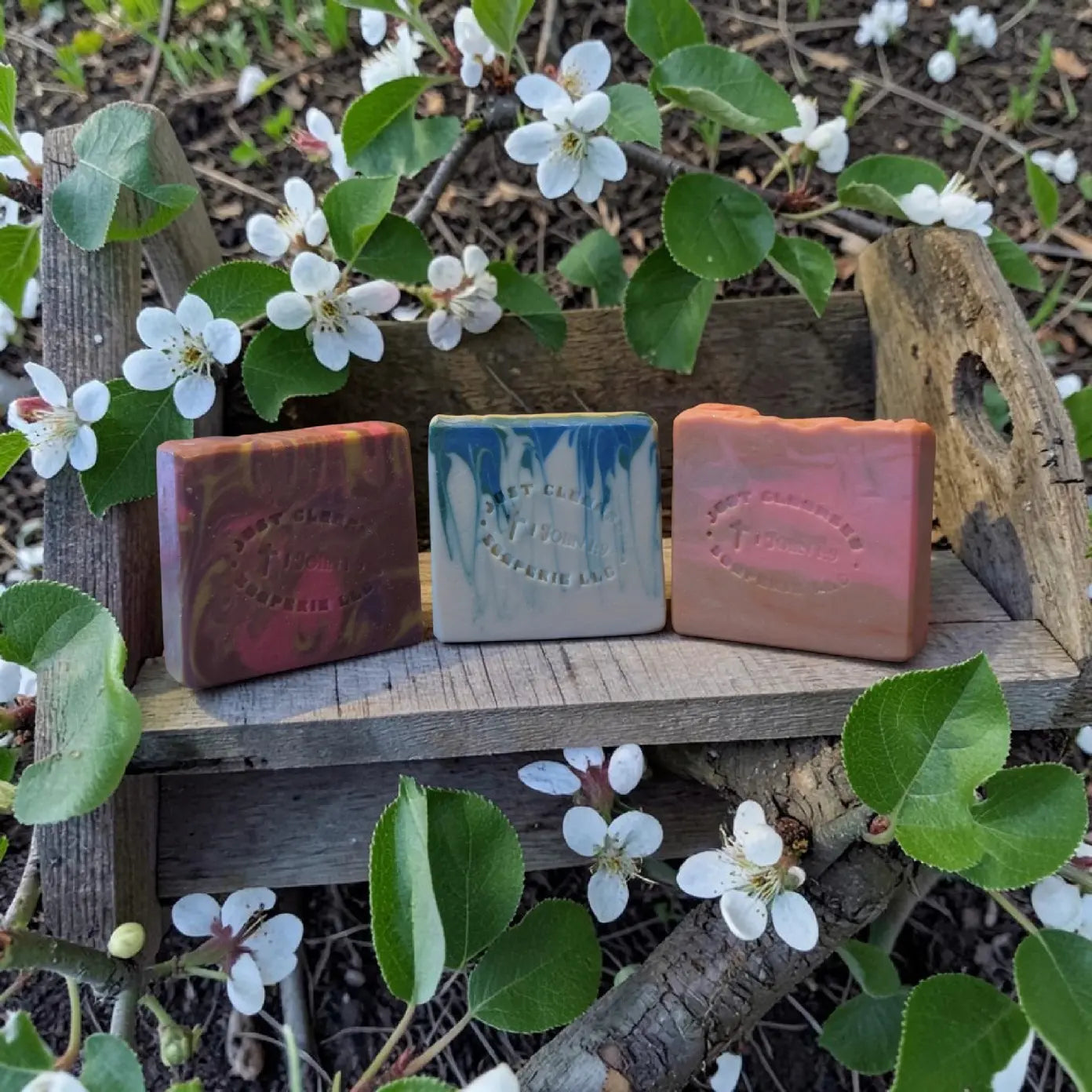 Faery Bloom